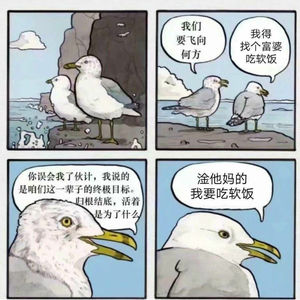 通读《爱情的逻辑》