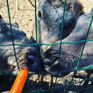 寥聊 #003 烟酒之交 （嘉宾：萱）