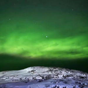 第248期:S的俄罗斯之旅(上):莫斯科大马戏绝对物超所值,太棒了!