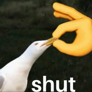 Vol.33 致一些粉丝：学会闭嘴就是最好的应援