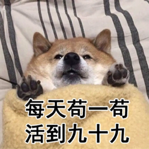 BB. 明天周一｜在卷和躺之间仰卧起坐。