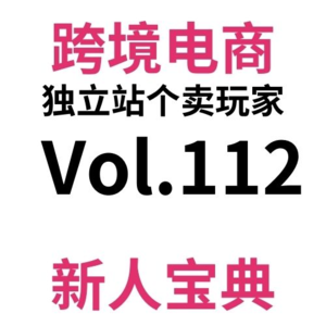 Vol112.跨境电商独立站最强企业邮箱？Zoho设置指南！附免费邮箱域名环境污染检查工具！（34）