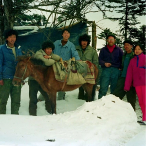 自然系列 |「白马雪山滇金丝猴」老友云团聚（龙勇诚，老柯，奚志农，肖林，张玫）