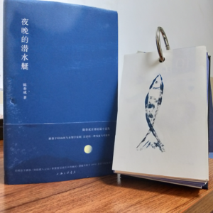 Book1 《夜晚的潜水艇》|我真想待在这样的夜里永远不出来