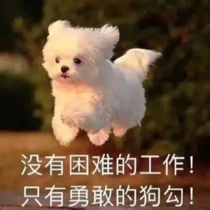 talk6. 毕业季快乐!职场菜鸟的不正经工作经验分享