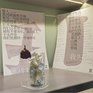 vol1. 从北京到成都,我慢慢明白了“勇敢的人先享受世界”