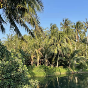 09、海南义工旅行（上）：萤火虫、稻田与舞台角落的光