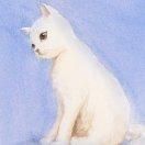 如何征服英俊少男.前言