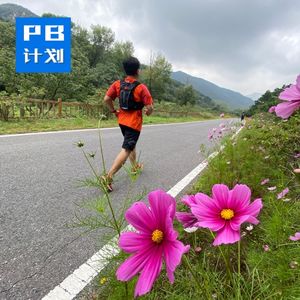 S1EP12:【第十二周】比赛迟迟不来，保持状态可太难了