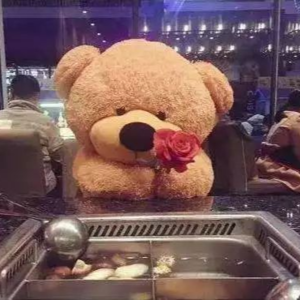 Vol.16 一个人生活,如何对抗时时袭来的孤独感?