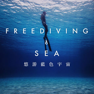 自由潜水究竟有多神奇？来和PADI的大佬们一起感受海洋的魅力