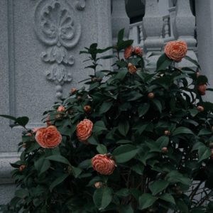 NO.8 闭上眼睛 定格每首歌的专属气味