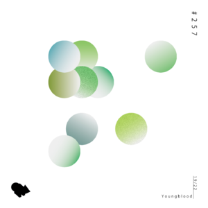 257. 19/22 Youngblood