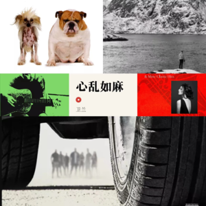 Album
