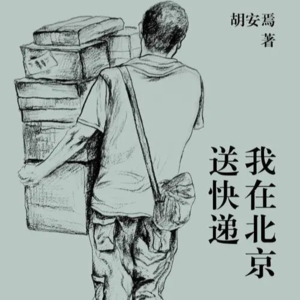 #29狠书解构《我在北京送快递》作者以20年19次逃避的态度诠释什么叫聪明反被聪明误