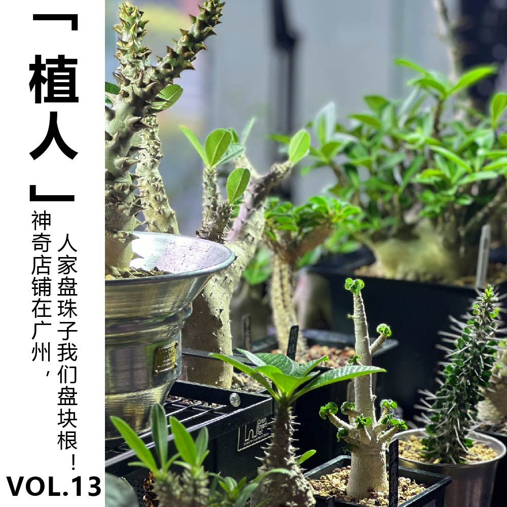 episode-cover