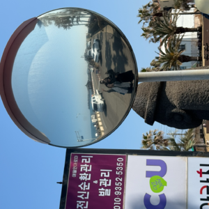 vol3.夸夸让植物生长更美好-让陌生人相爱的36个问题（特别篇）