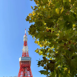 四年后重新踏上日本大地