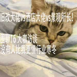 #15 建筑行业寒冬，旧改专家|酒店专家|景观所长围聊