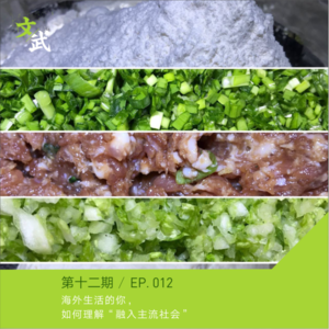EP 012 海外生活的你,如何理解“融入主流社会”
