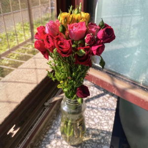 特别篇：相识一周年后，答普鲁斯特书