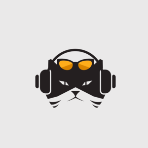 5.我,中年失业,创业做“丑鞋”Crocs,4年就上市