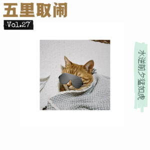 Vol.27：趁我带爸妈住酒店，猫和男友一起鬼混。