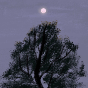 07-助眠ASMR-睡个好觉