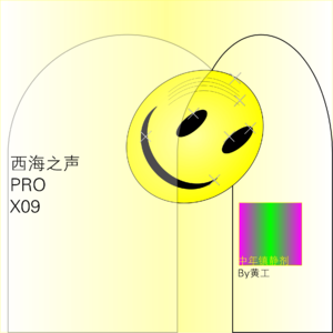 西海之声 Pro X09：中年镇静剂 (Guest DJ: 黄工)