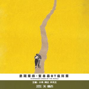 011.宝丰县BT连环案