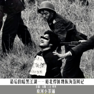 最后的暗黑江湖——道北悍匪魏振海落网记