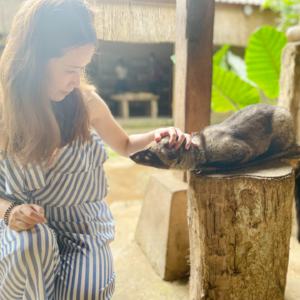 利用能量工具 成为面试达人