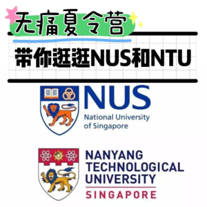 Vol 12 无痛夏令营：带你逛逛NUS和NTU
