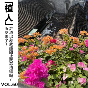 Vol.60【植人】听友来了! 难道出差就能阻止我养植物吗?!