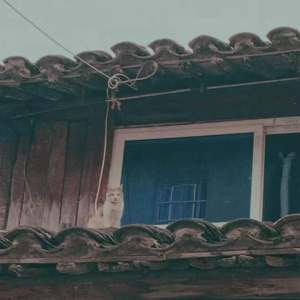 第十六期《永不消逝的电波》