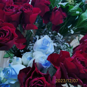 VOL30.《李米的猜想》：她是浪迹在昆明街头的吟游诗人。