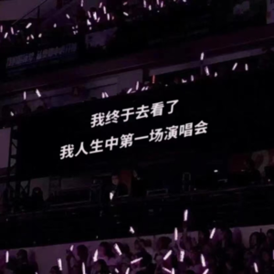 04 我终于去看了我人生中第一场演唱会