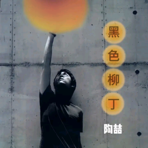 华语神专《黑色柳丁》发行20周年，陶喆英雄永不迟暮