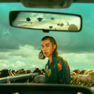 我喜欢《野马分鬃》，它适合那些对生活采取旁观态度的观众。口碑的争议也许源于始终没给急切的观众以靠近和宣泄的窗口。