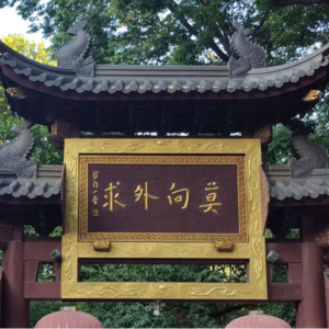 007 “万花丛中过,片叶不沾身”——应届生情绪树洞第一弹!