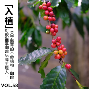 Vol.58【入植】对谈当夏咖啡品牌主理人，关于温蒂的本命植物—咖啡