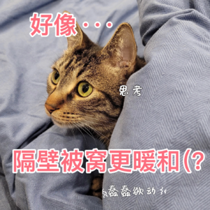 打工人心声 | 跨行怎么了,不会做账的程序员不是好销售