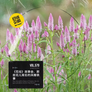 vol.579 《花经》故事会，那些花儿背后的风雅轶事