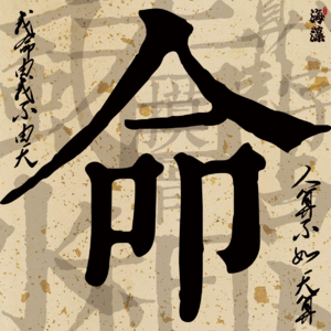 92乱算命带来的后果