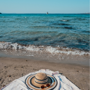 23. MBTI：荣格八维，为什么是我们看世界的视角？