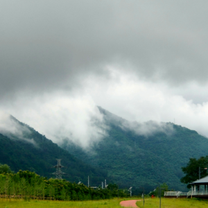 016 | 我家白云沧海边，直取烟霞送百年