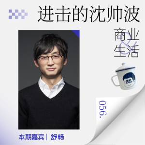 Vol.56 投中两家六小龙、孵化李子柒的“卷王”国企，不靠补贴靠自己的底层逻辑是什么?