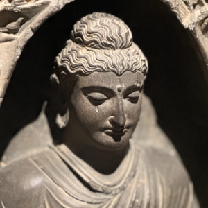 Vol.043.人越多越「瞎」，群体怎么才能「保住」智慧？