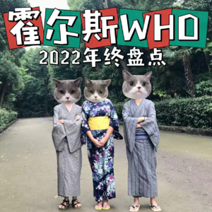 #35 霍尔斯WHO的年终盘点