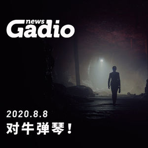 对牛弹琴！GadioNews08.08